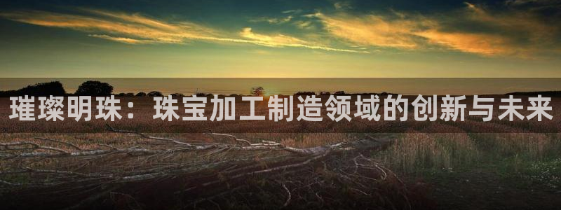 彩名堂怎么用不输