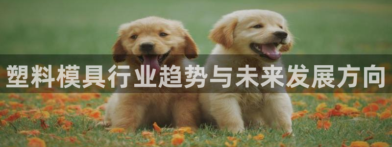 彩名堂计划技巧有哪些