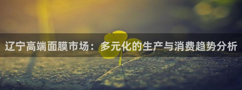 老版本彩名堂计划软件