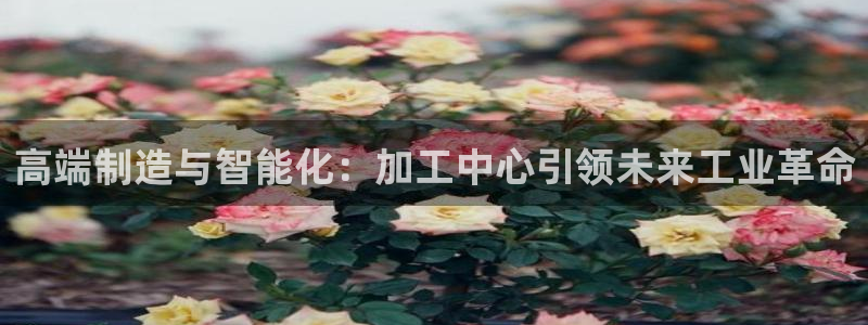 彩名堂安卓客户端官网下载安装