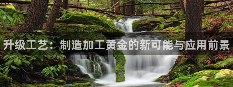 彩名堂一直不出结果怎么回事呢