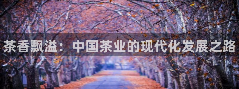 彩名堂官方平台