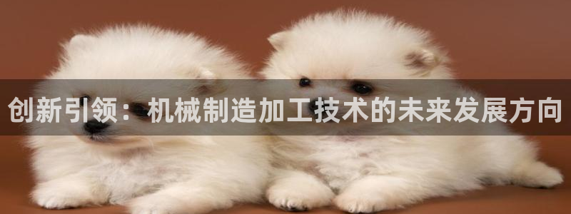 彩名堂安卓客户端官网下载