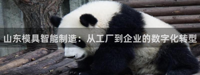 彩名堂计划app新版