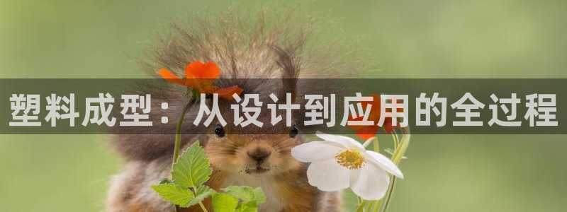 彩名堂客户端是永久免费吗安全吗苹果