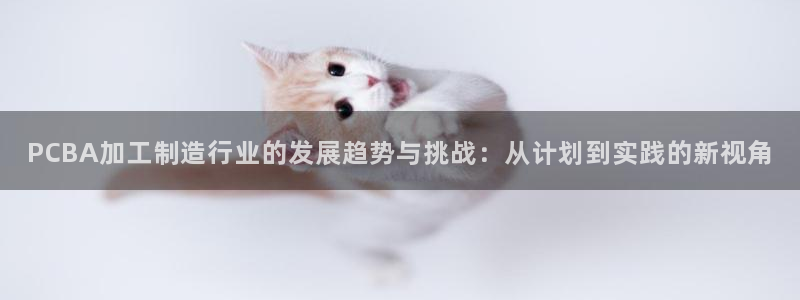 彩名堂975新版本