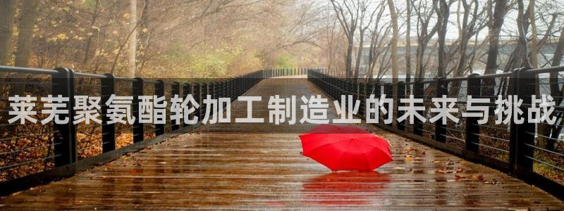 彩名堂计划最新版手机版