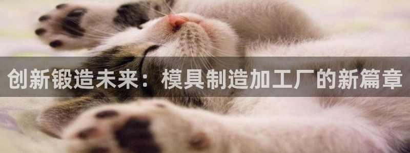 彩名堂计划官方下载网址