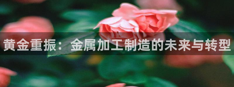 彩名堂预测网站