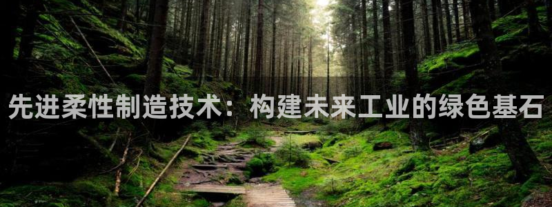 彩名堂预测软件与分析