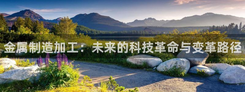 彩名堂官网计划客户端