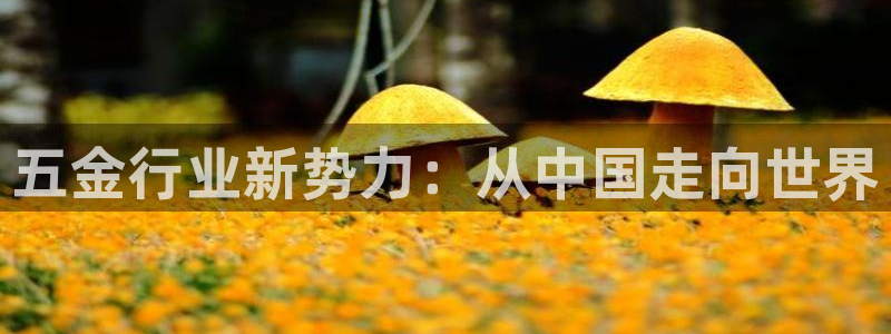 下载彩名堂预测计划软件