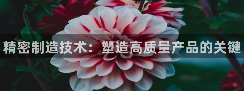 彩名堂怎么打不开了