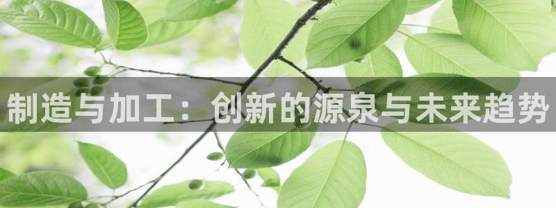 彩名堂.apk