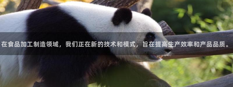 彩名堂是不是不能用了吗