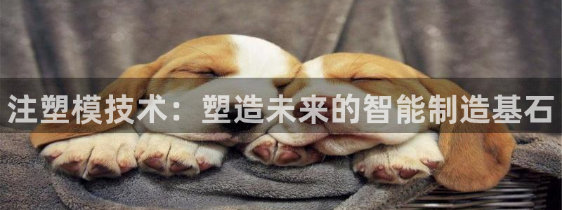 彩名堂官网计划怎么下载到手机