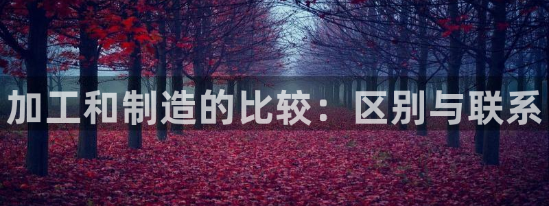 彩名堂官方下载地址