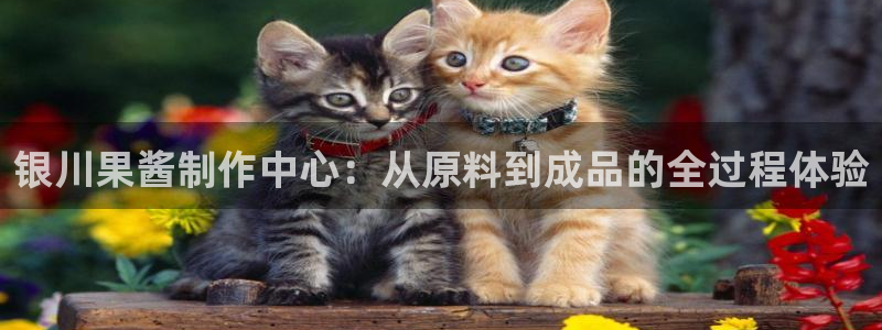 彩名堂客户端是永久免费吗是真的吗吗