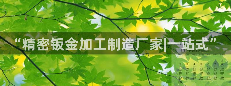 彩名堂免费计划5.0使用方法