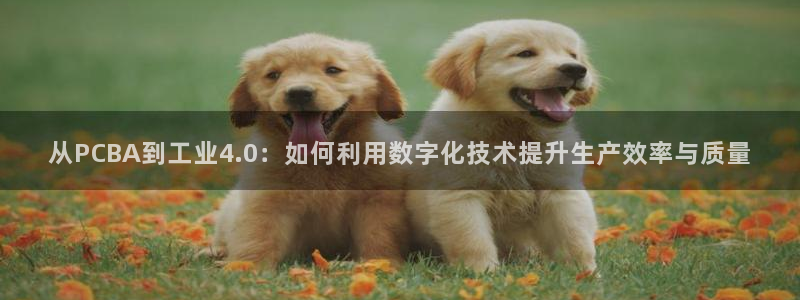 彩名堂改名稻草人了吗是真的吗