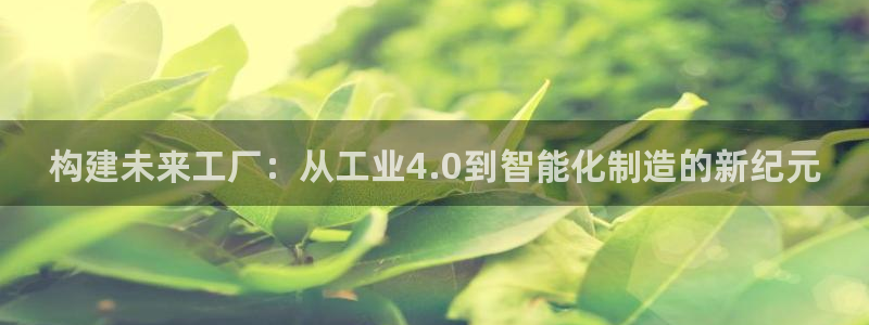 彩名堂全天计划