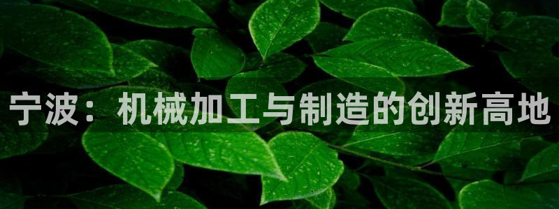 彩名堂排三