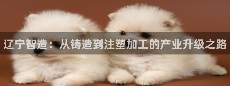 彩名堂苹果版怎么不能用了