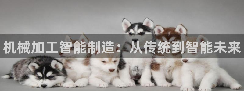 彩名堂预测免费计划