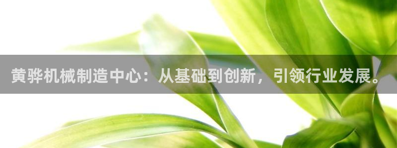 彩名堂计划最新版手机版