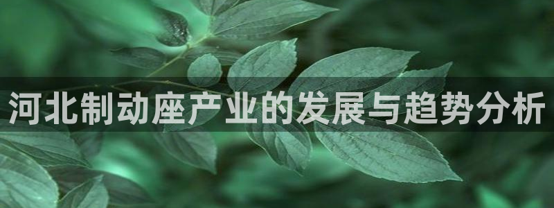 彩名堂拼音怎么拼