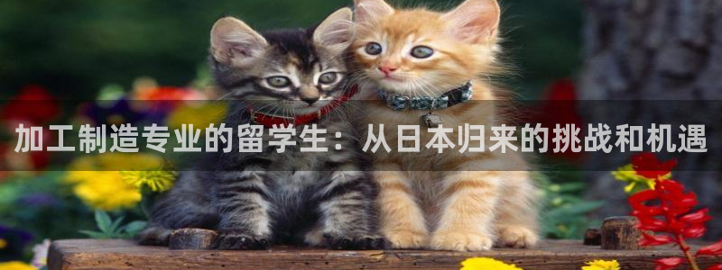 彩名堂安卓客户端官网