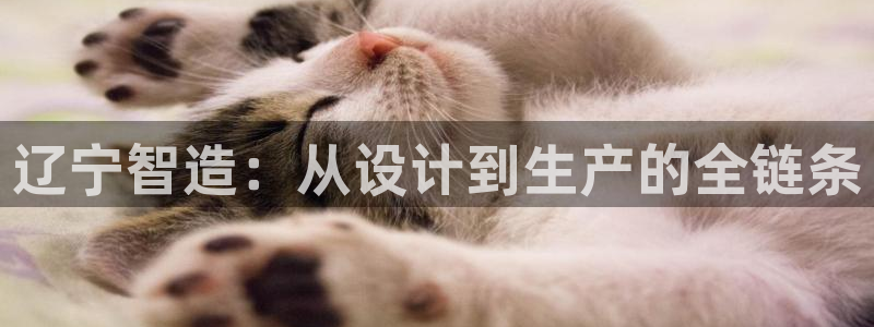 彩名堂人工计划客户端